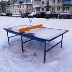 IMG_20191220_121901