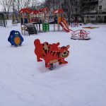 IMG_20191220_122343