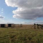 IMG-20221017-WA0044