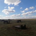 IMG-20221017-WA0047