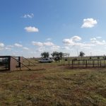 IMG-20221017-WA0061
