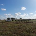 IMG-20221017-WA0062